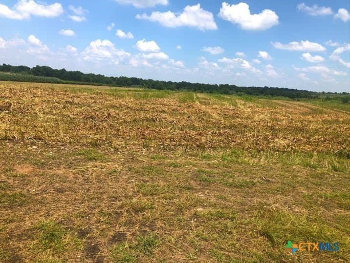 79.95 acres in Williamson County - photo 19