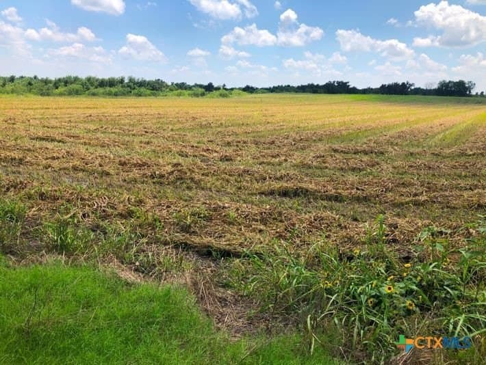 79.95 acres in Williamson County - photo 4
