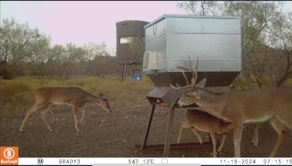 100.1 acres in McCulloch County - photo 6