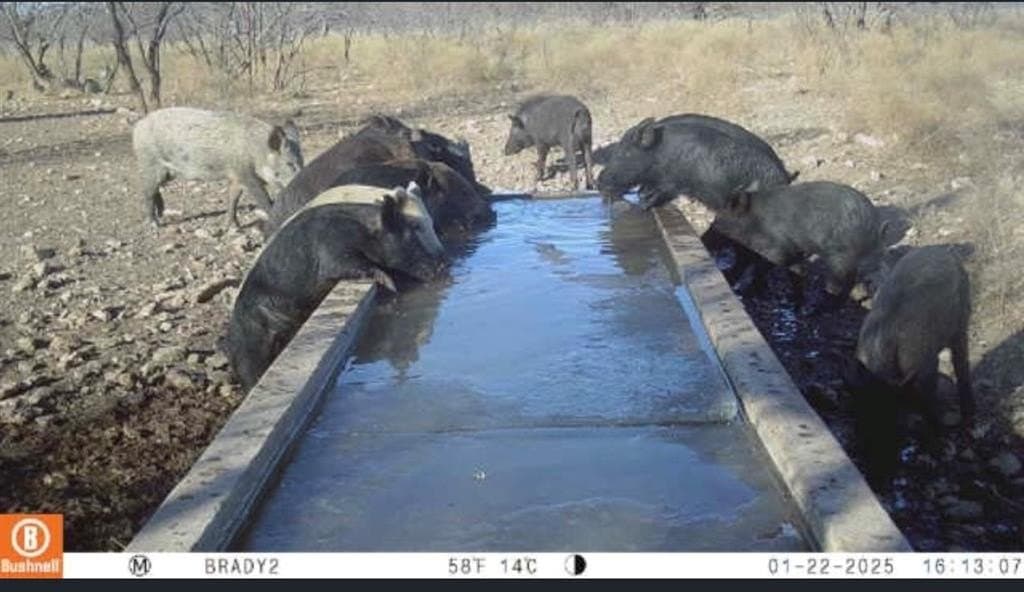100.1 acres in McCulloch County - photo 3