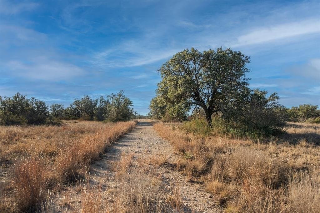 100.1 acres in McCulloch County - photo 23