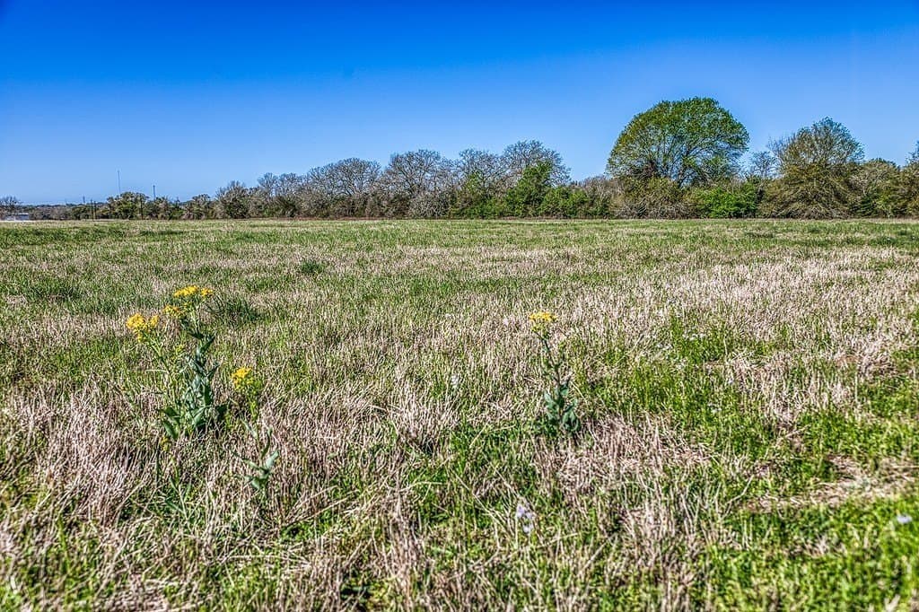 10 acres in Fayette County - photo 6