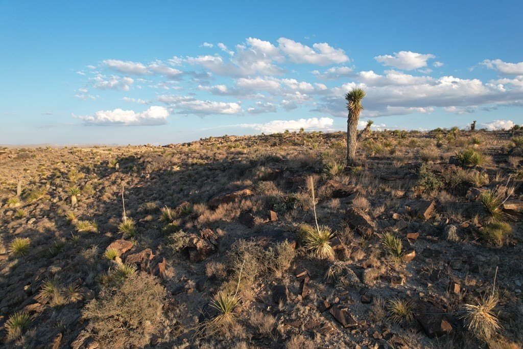 20.02 acres in Hudspeth County - photo 3