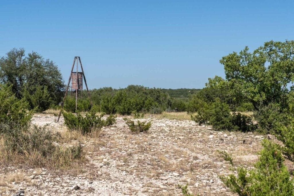 289 acres in Kimble County - photo 7