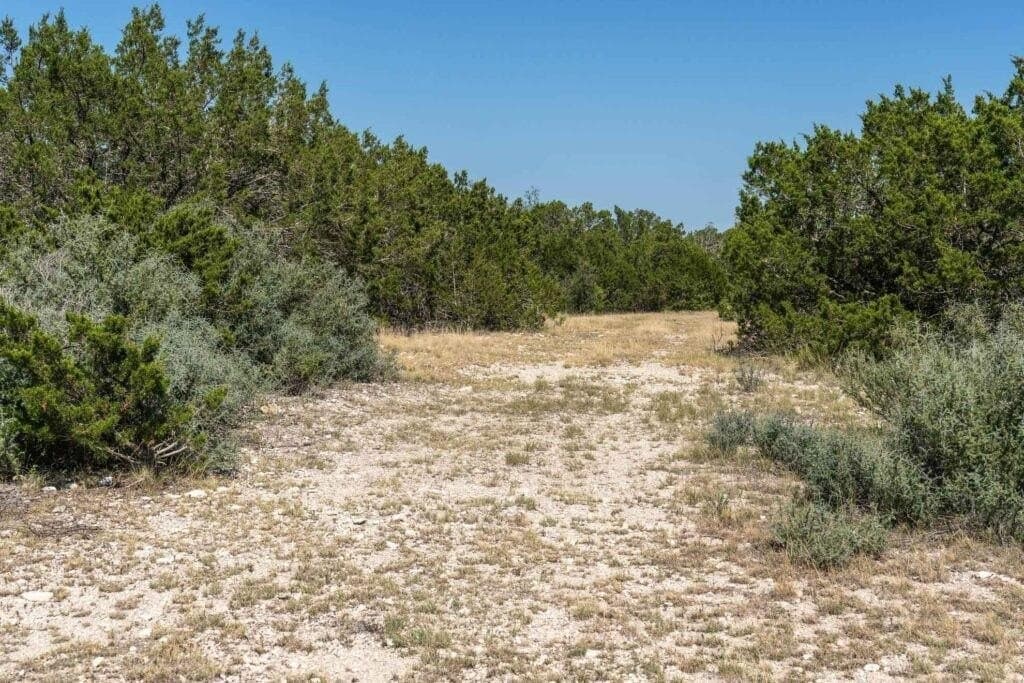 289 acres in Kimble County - photo 33