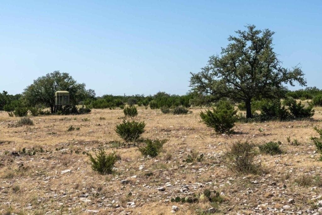 289 acres in Kimble County - photo 5