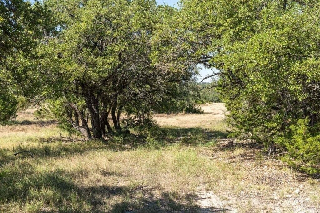 289 acres in Kimble County - photo 36