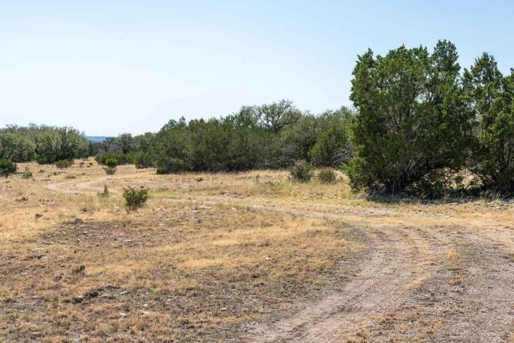 289 acres in Kimble County - photo 8