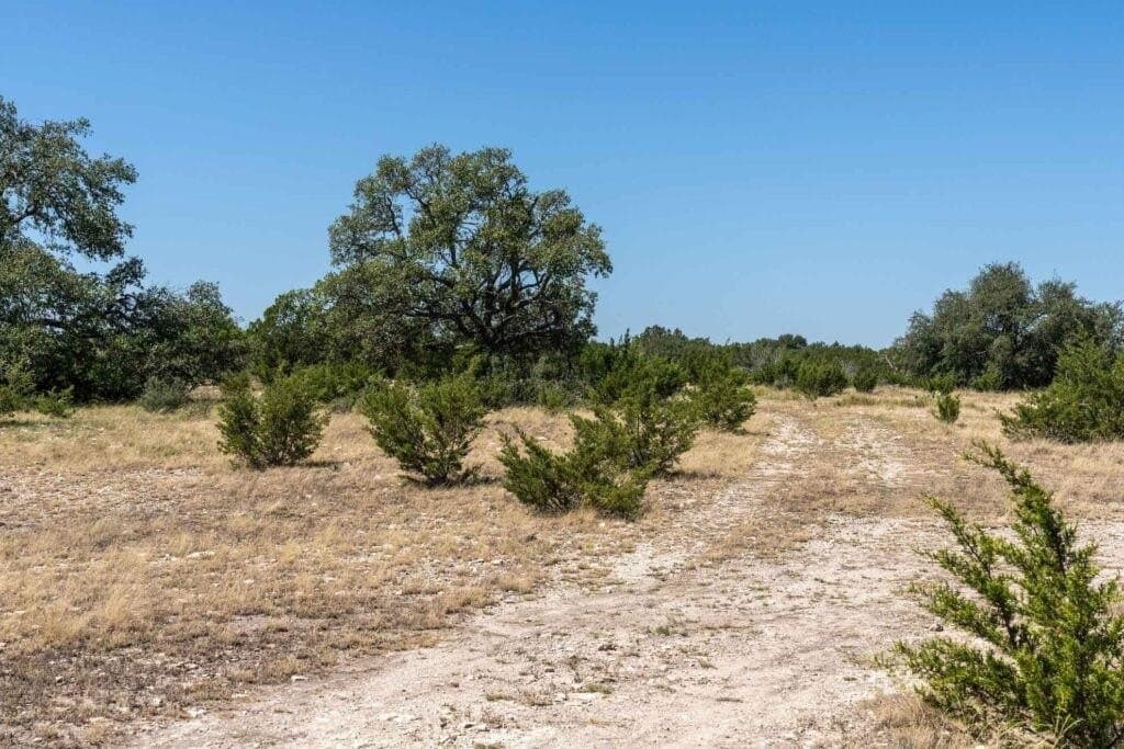 289 acres in Kimble County - photo 3