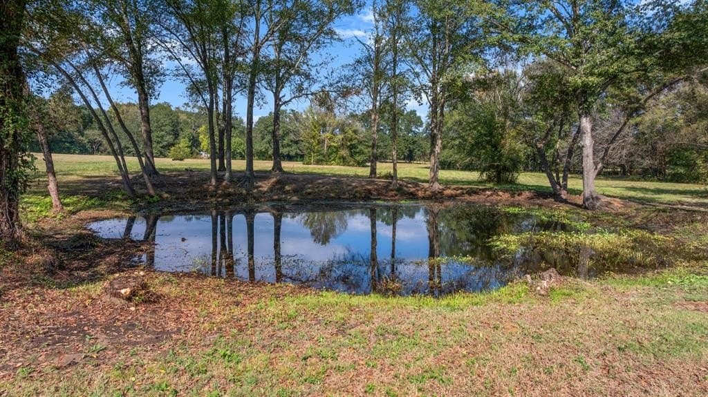 48 acres in Smith County - photo 6