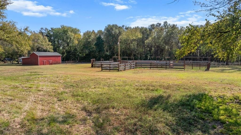 48 acres in Smith County - photo 10