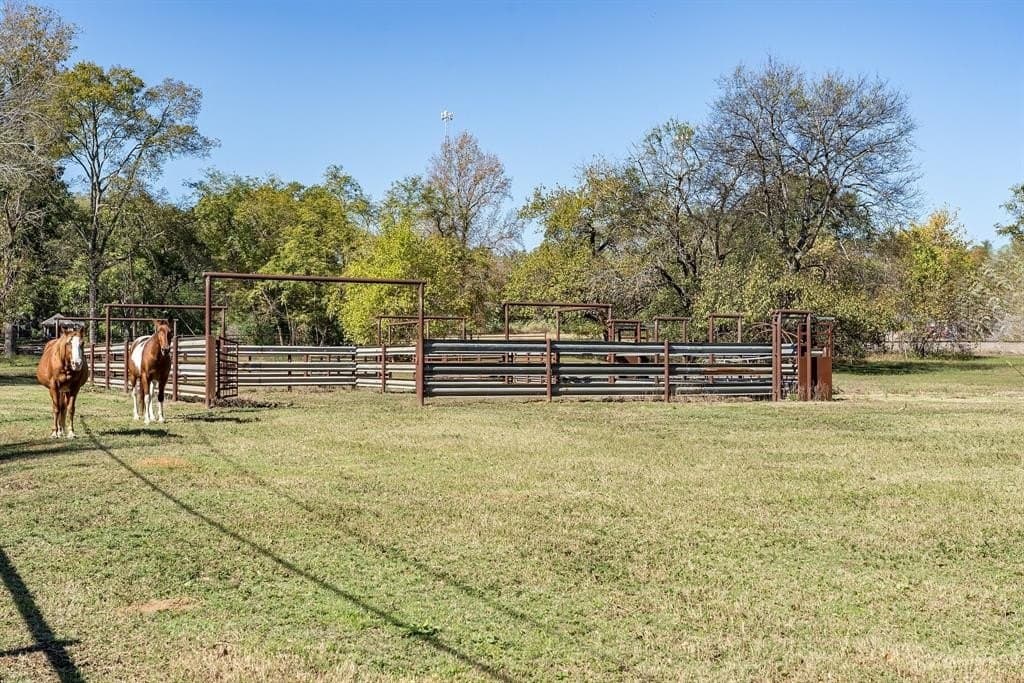48 acres in Smith County - photo 9