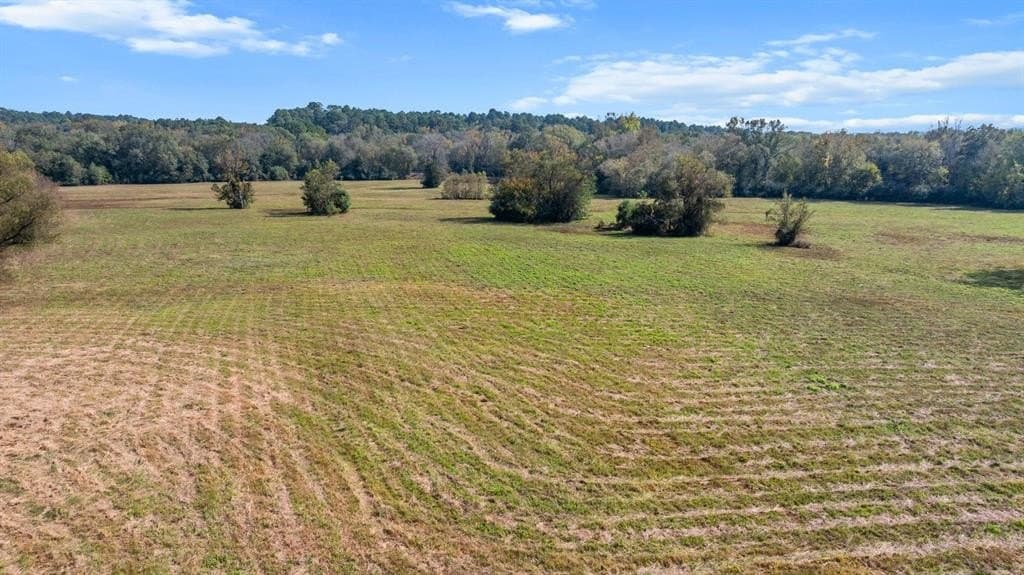 48 acres in Smith County - photo 13