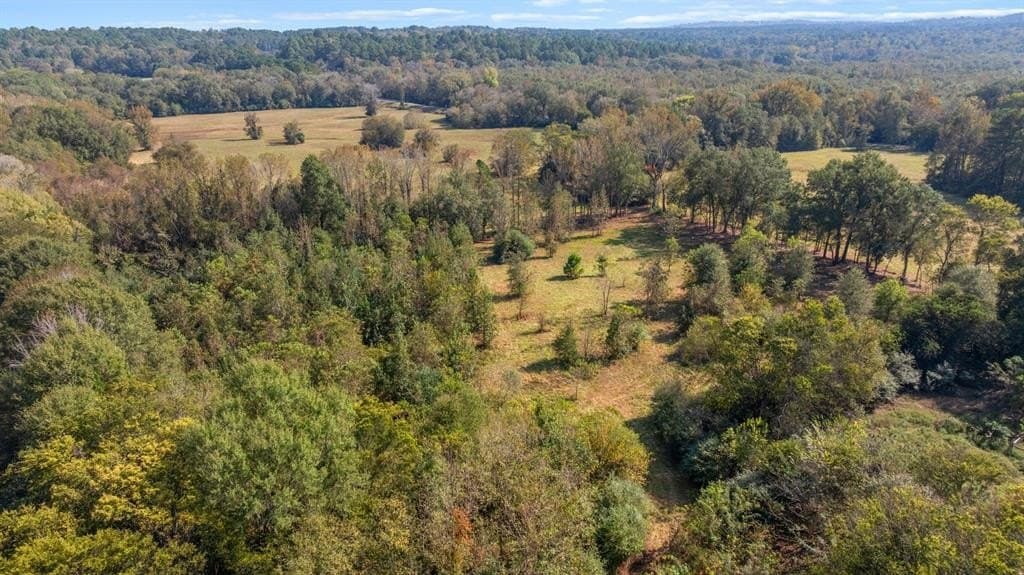 48 acres in Smith County - photo 11