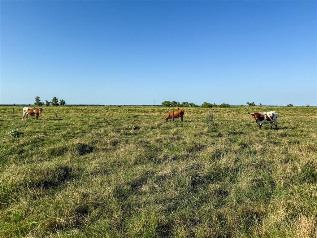 250.49 acres in Denton County - photo 27