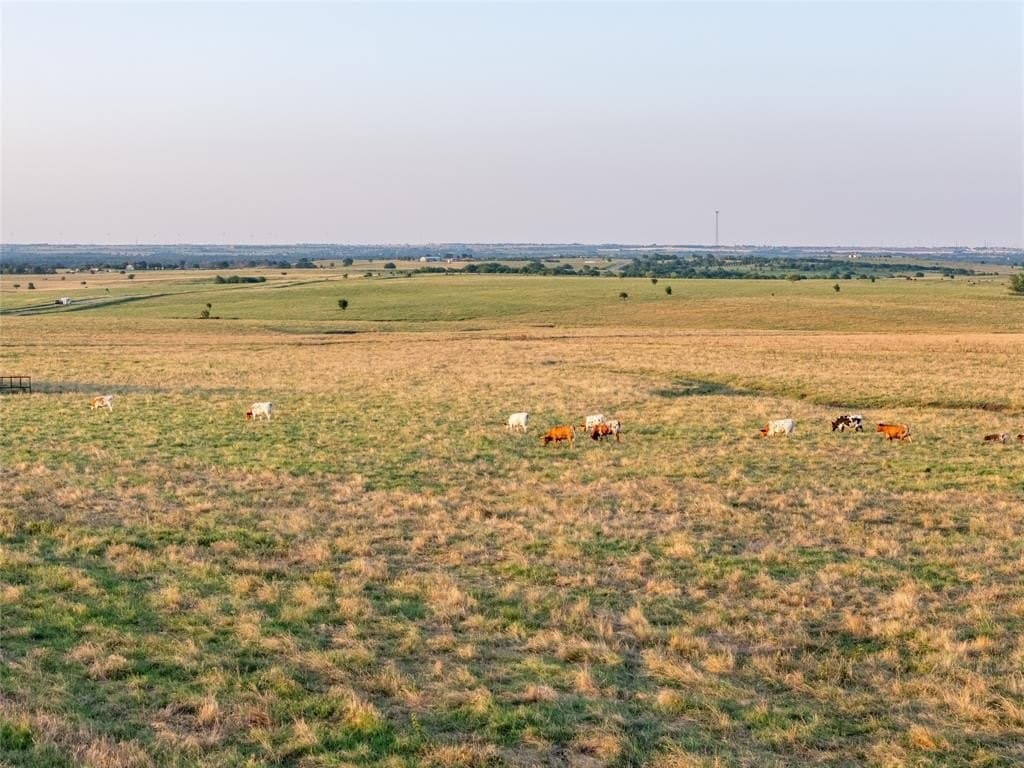 250.49 acres in Denton County - photo 16