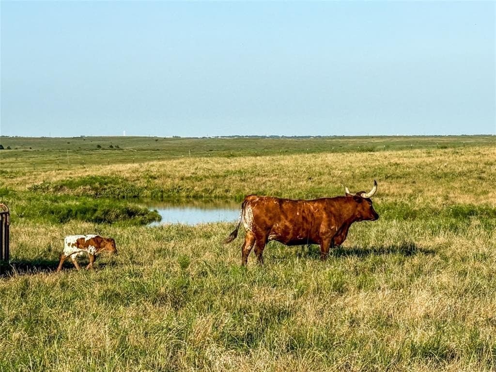 250.49 acres in Denton County - photo 35