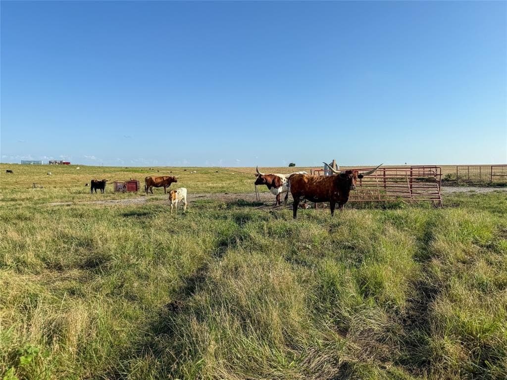 250.49 acres in Denton County - photo 29