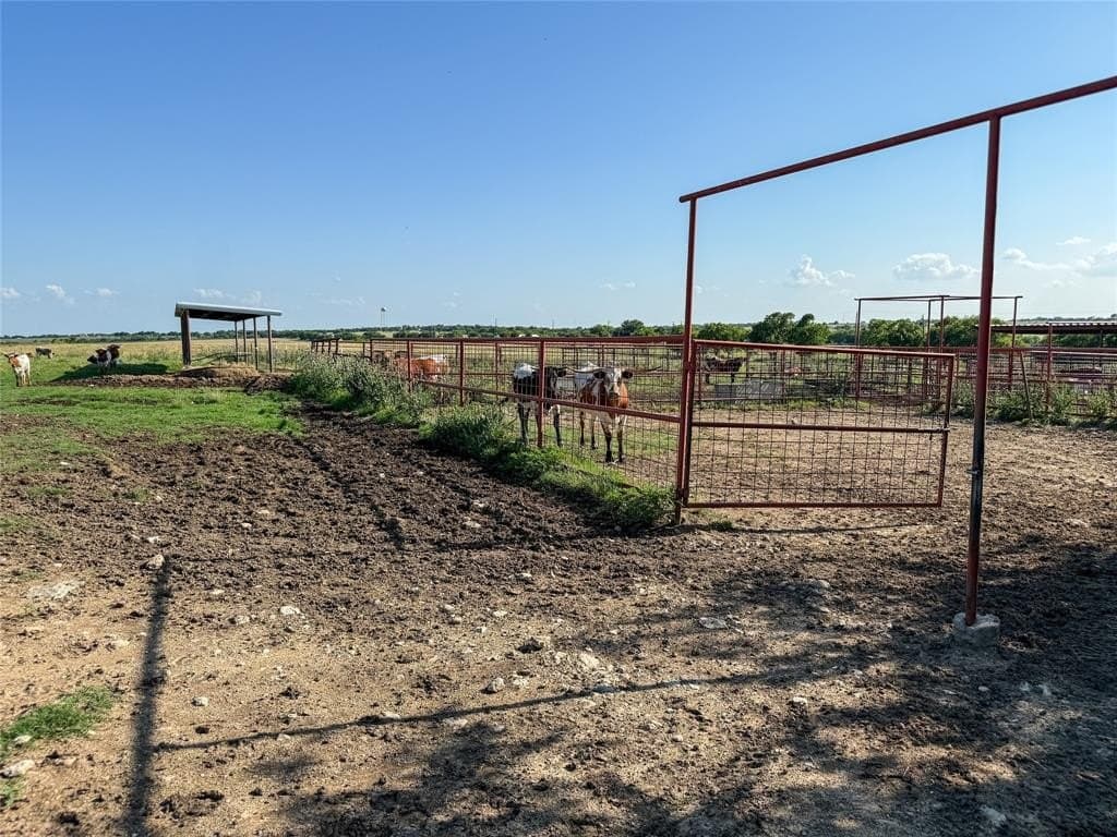 250.49 acres in Denton County - photo 21