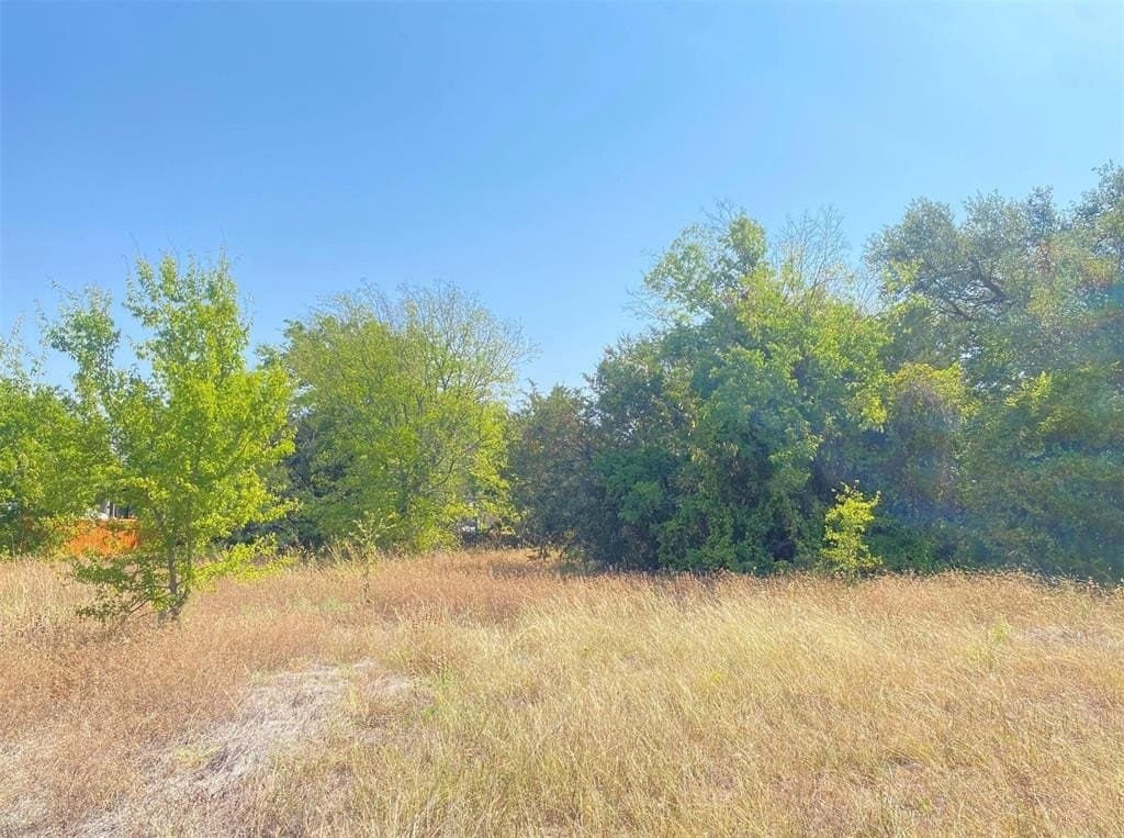 0.04 acres in Hood County - photo 3