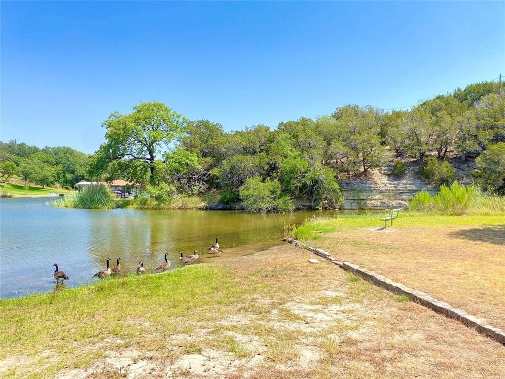 0.04 acres in Hood County - photo 17