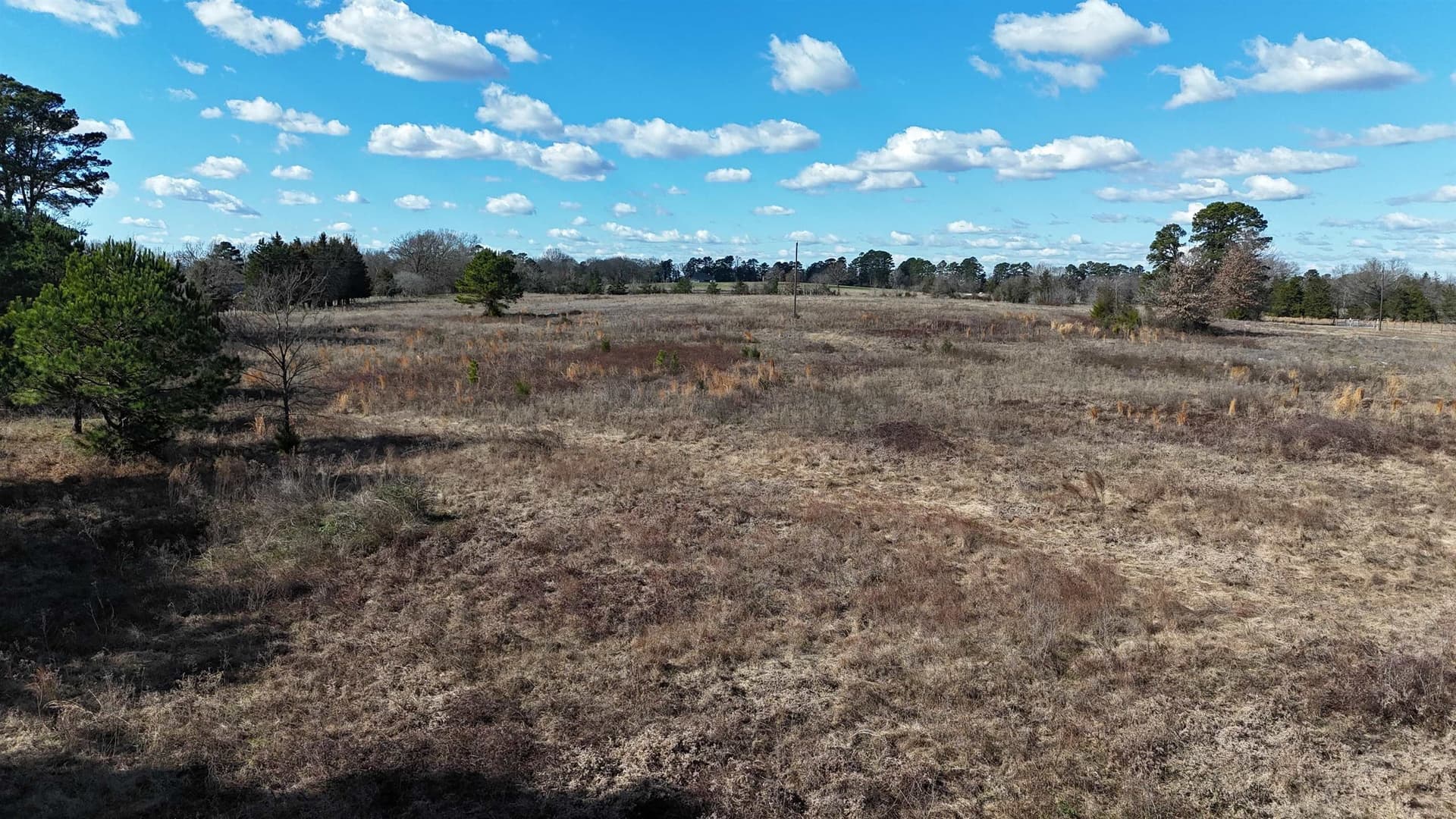 50.37 acres in Upshur County - photo 15