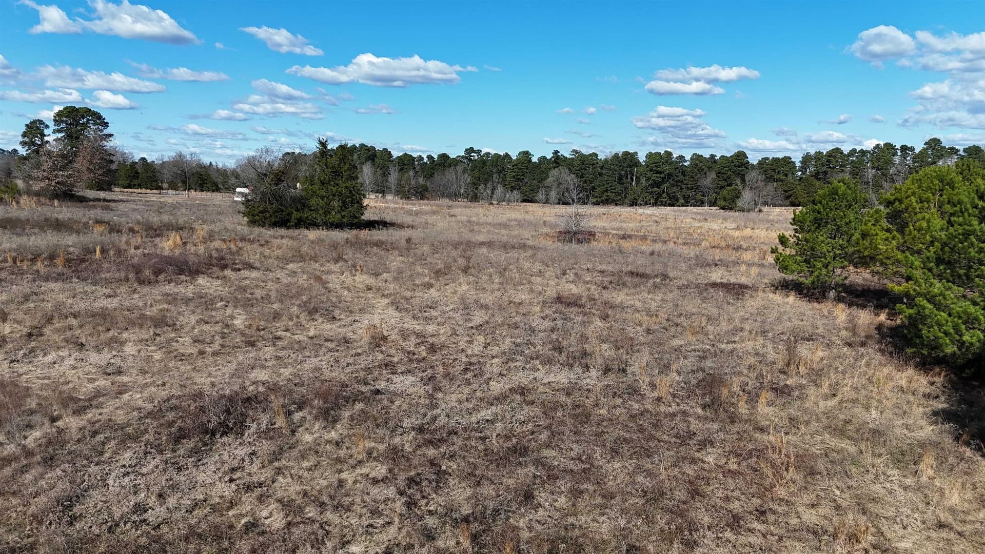 50.37 acres in Upshur County - photo 14