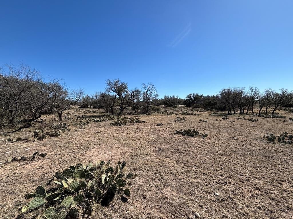 22.15 acres in Schleicher County - photo 9