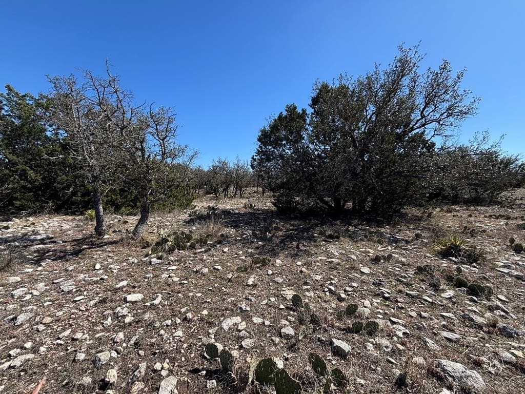 22.15 acres in Schleicher County - photo 8