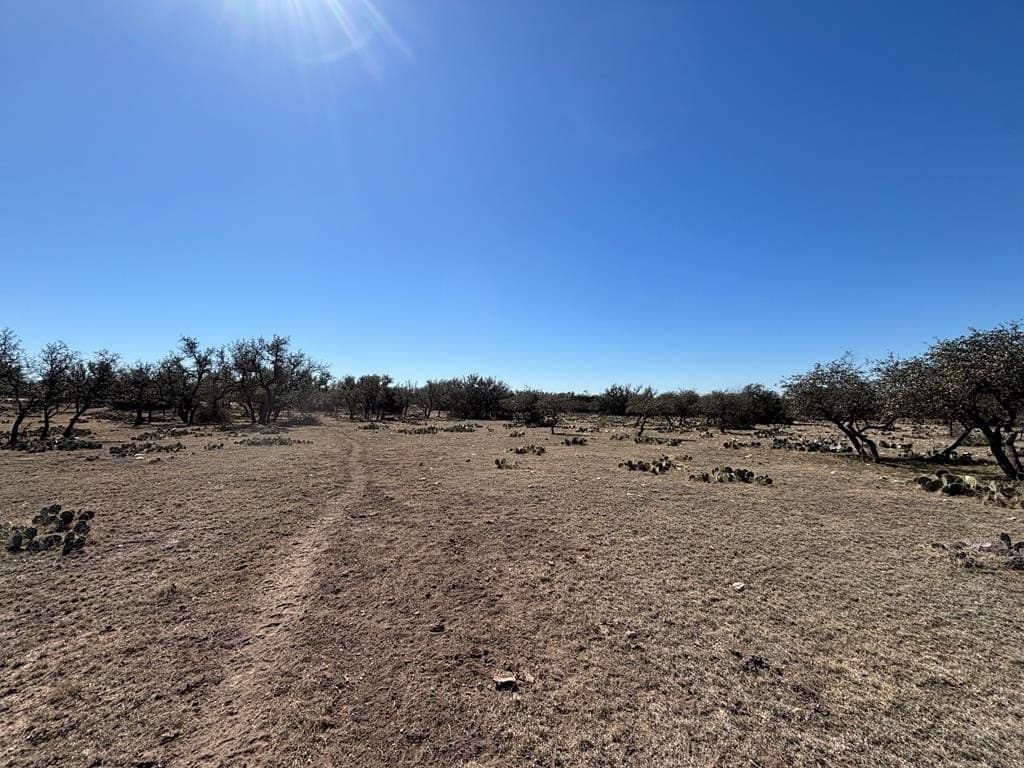 22.15 acres in Schleicher County - photo 10