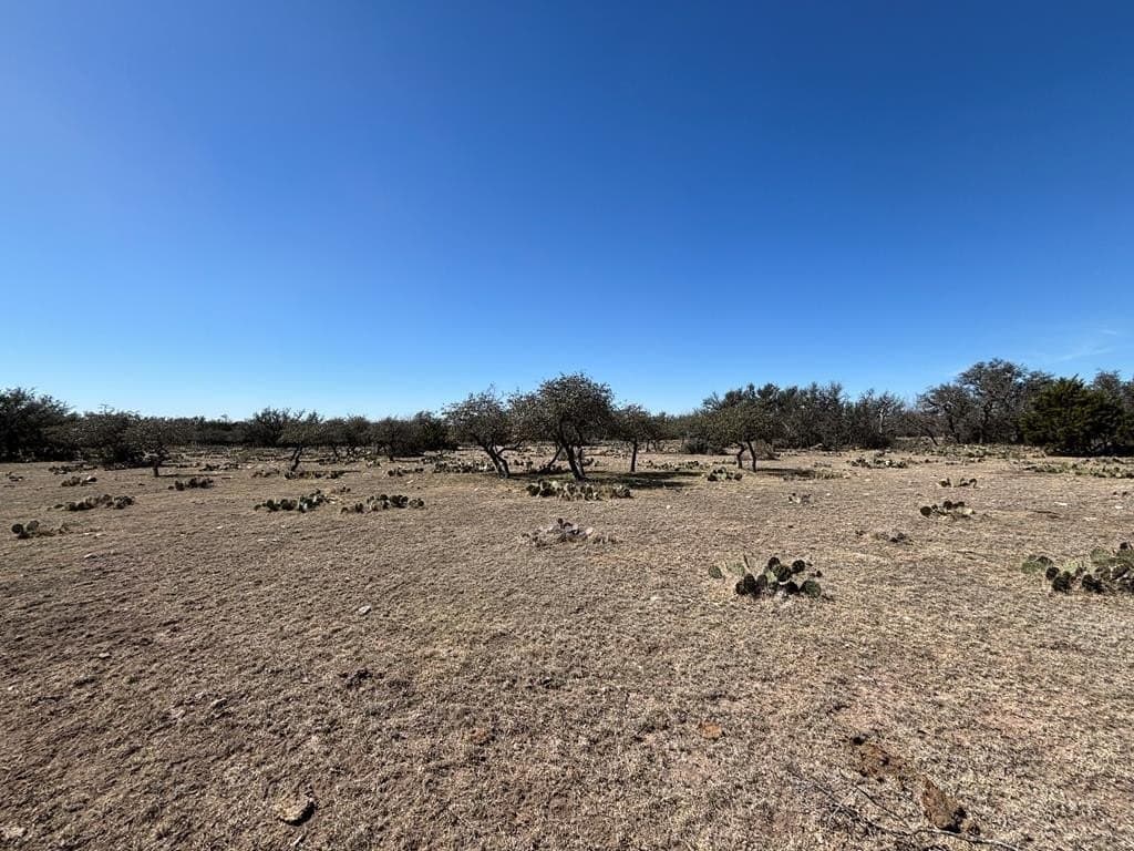 22.15 acres in Schleicher County - photo 11