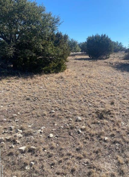 22.15 acres in Schleicher County - photo 3