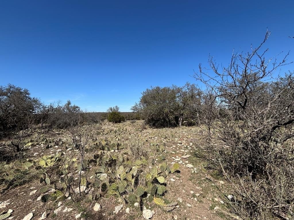 22.15 acres in Schleicher County - photo 5