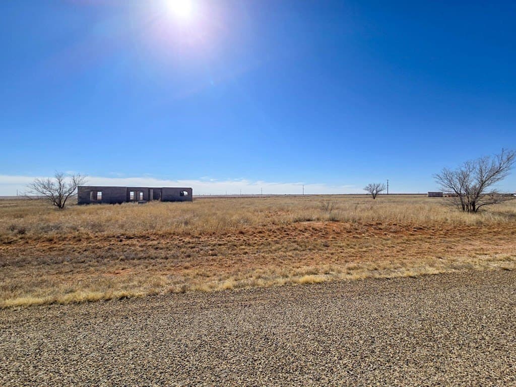 3 acres in Gaines County - photo 4