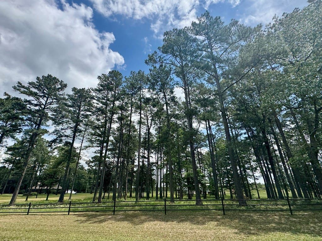 16 acres in Texas County - photo 3
