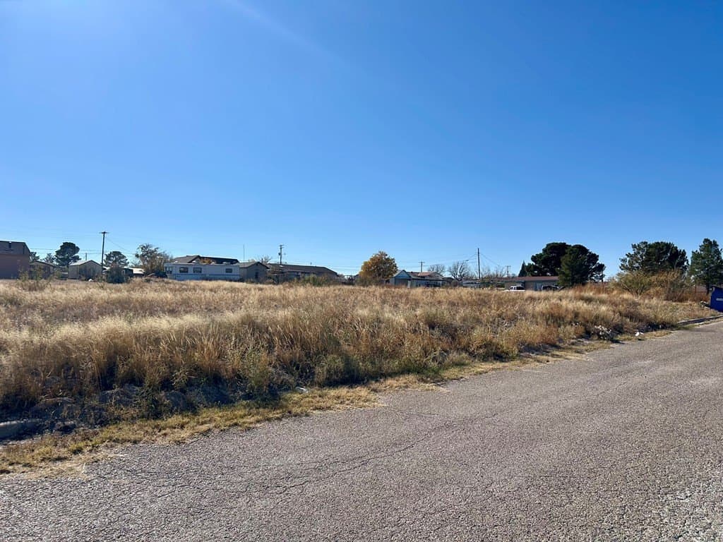 0.5 acres in Pecos County - photo 3