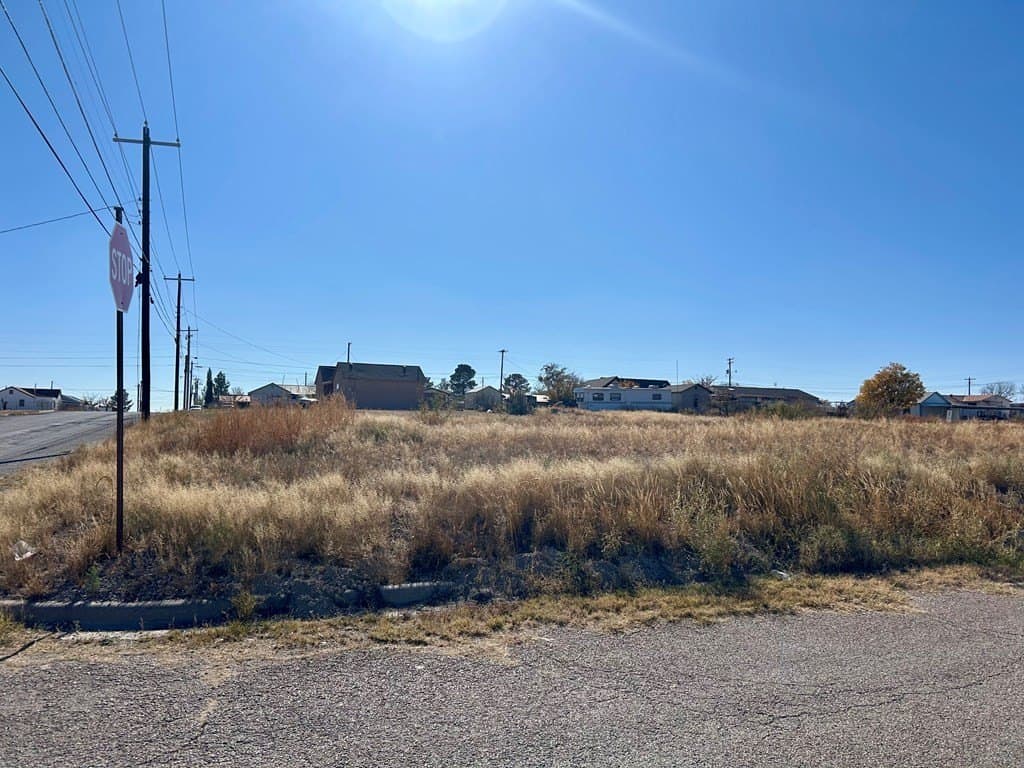 0.5 acres in Pecos County - photo 2