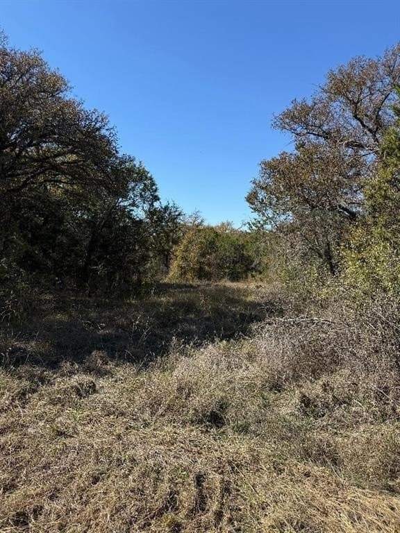 5.92 acres in Palo Pinto County - photo 13