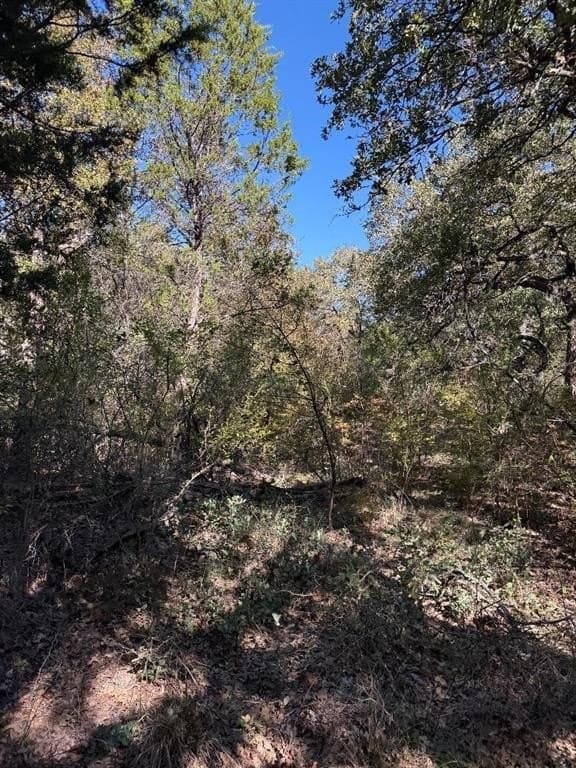 5.92 acres in Palo Pinto County - photo 10