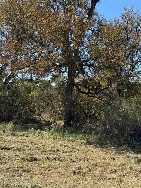 5.92 acres in Palo Pinto County - photo 8