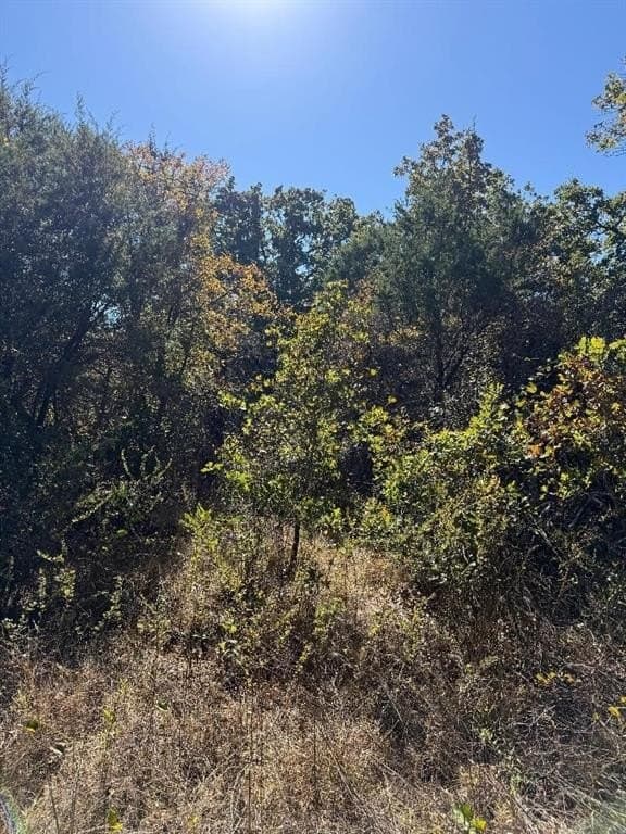 5.92 acres in Palo Pinto County - photo 5