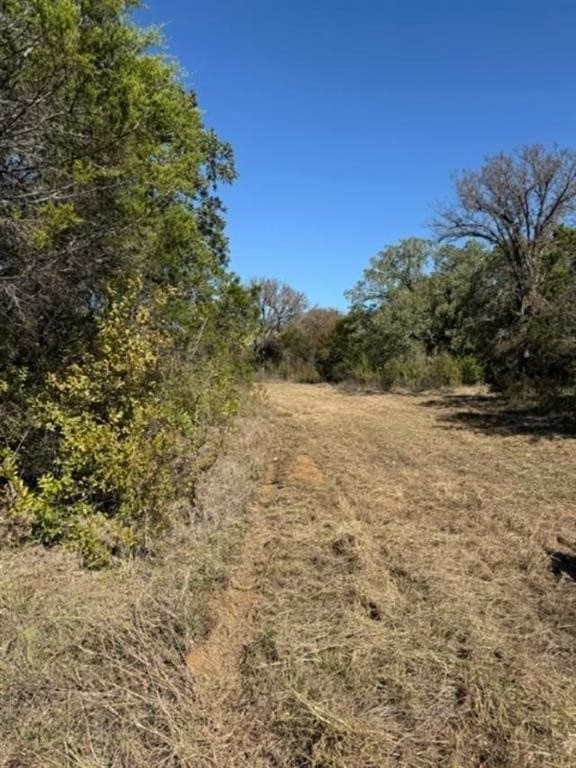 5.92 acres in Palo Pinto County - photo 6
