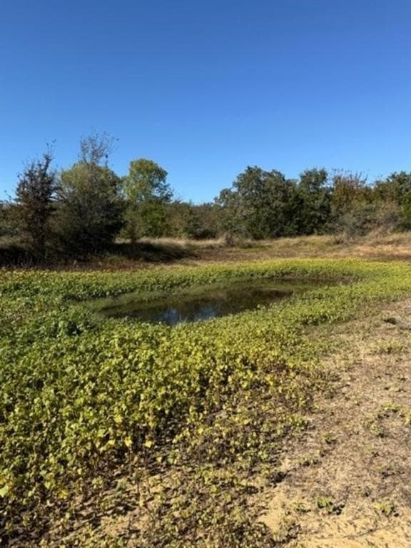 5.92 acres in Palo Pinto County - photo 3