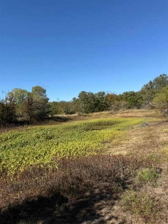 5.92 acres in Palo Pinto County - photo 12