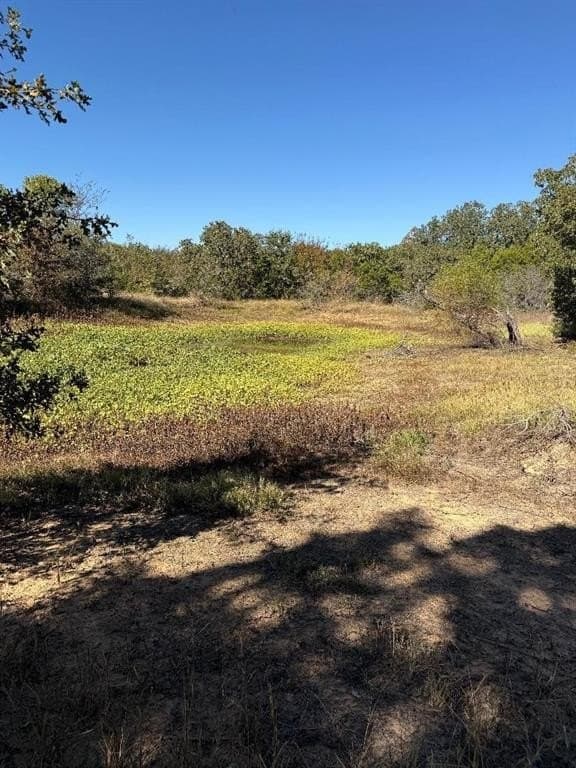 5.92 acres in Palo Pinto County - photo 9