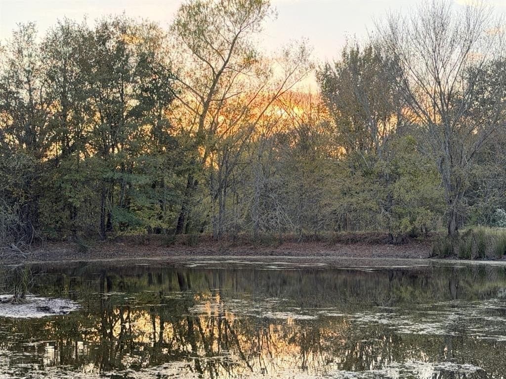 6.91 acres in Rains County - photo 26