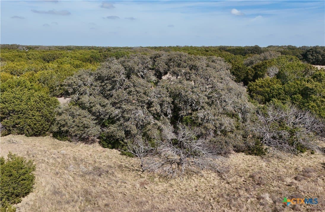 12.13 acres in Burnet County - photo 3