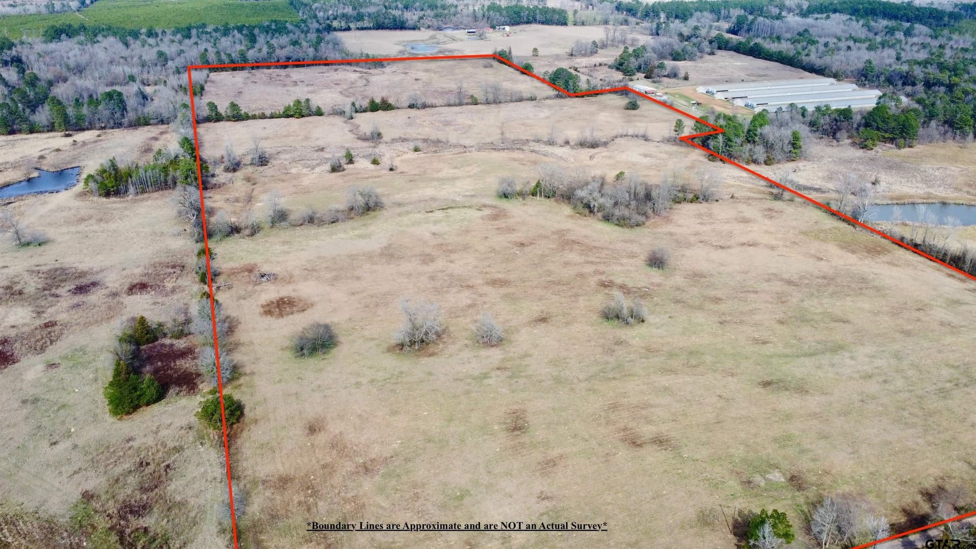 68.59 acres in Cass County - photo 5