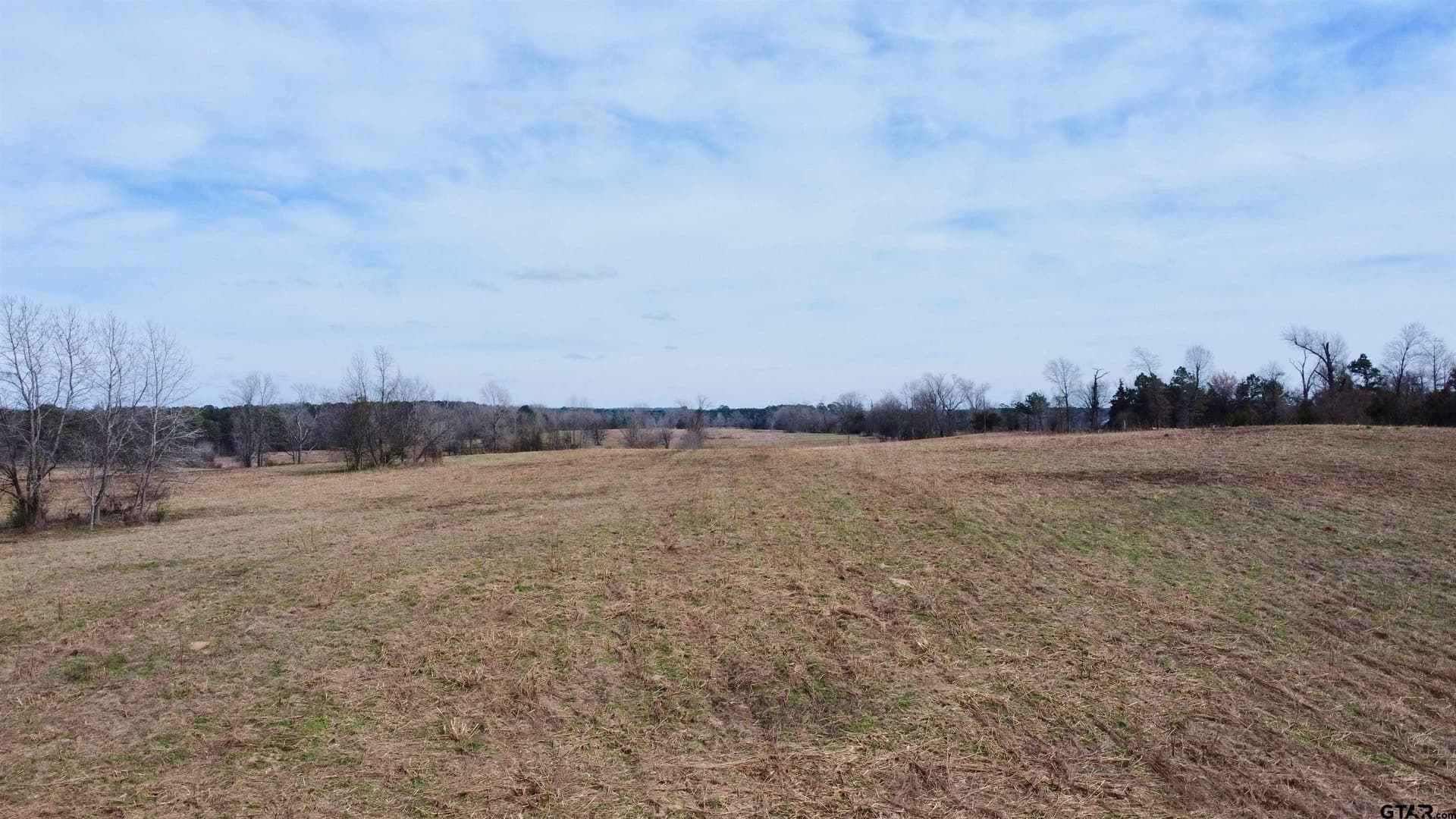 68.59 acres in Cass County - photo 9