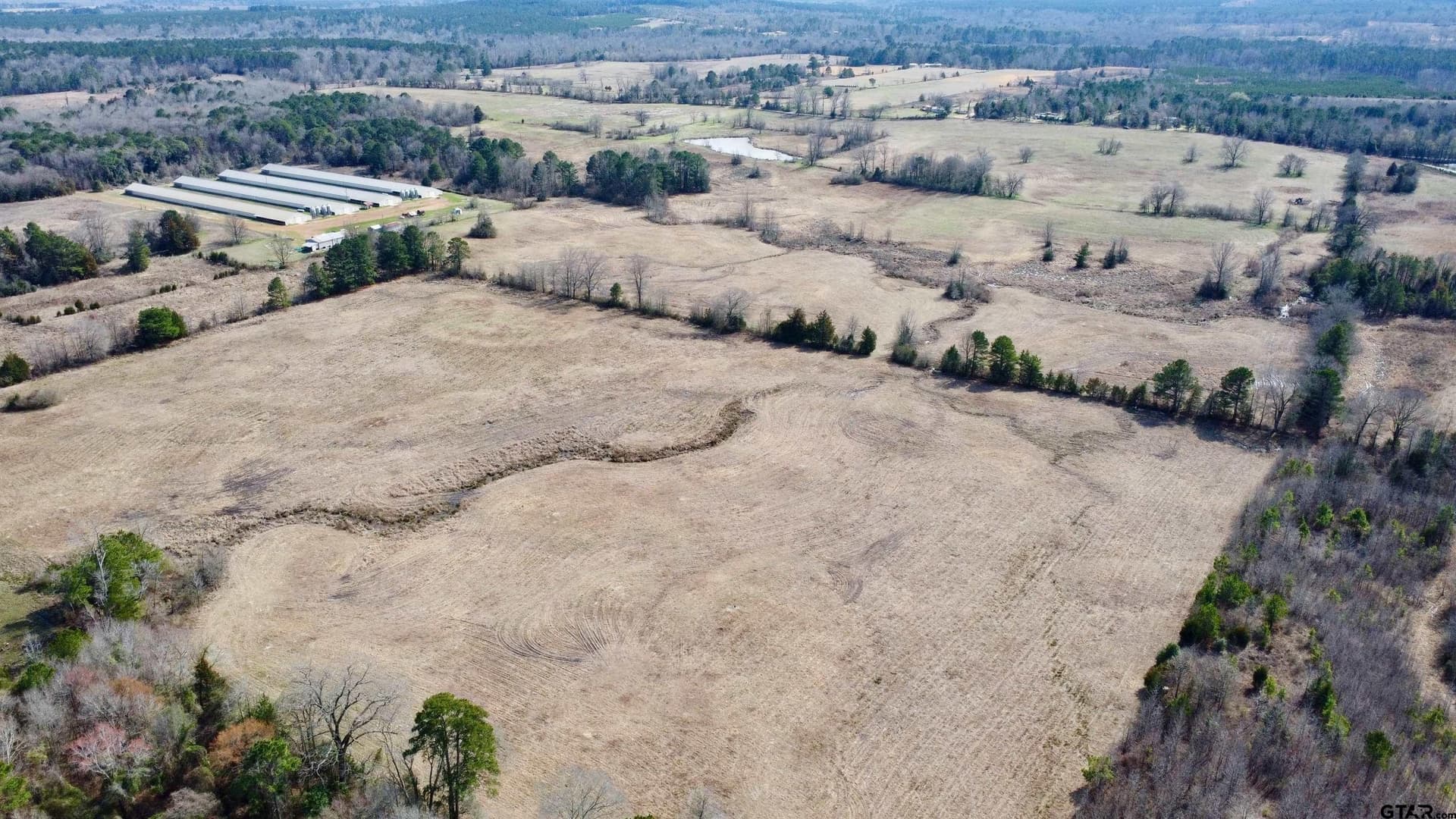 68.59 acres in Cass County - photo 8